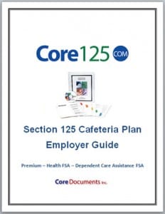 Section 125 Cafeteria Plan Options for 2018