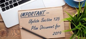Update section 125 Plan document for 2019